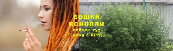 молекула духа Белокуриха