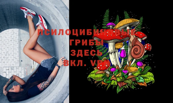 MDMA Premium VHQ Богородицк
